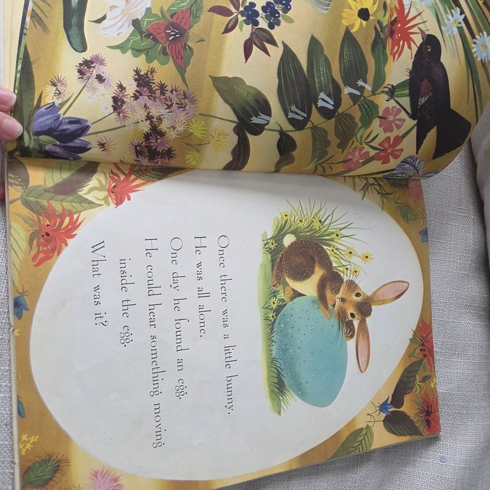 The Golden Egg Book - Illustrated Childrens Book - Green Cover - Picture 7 of 9